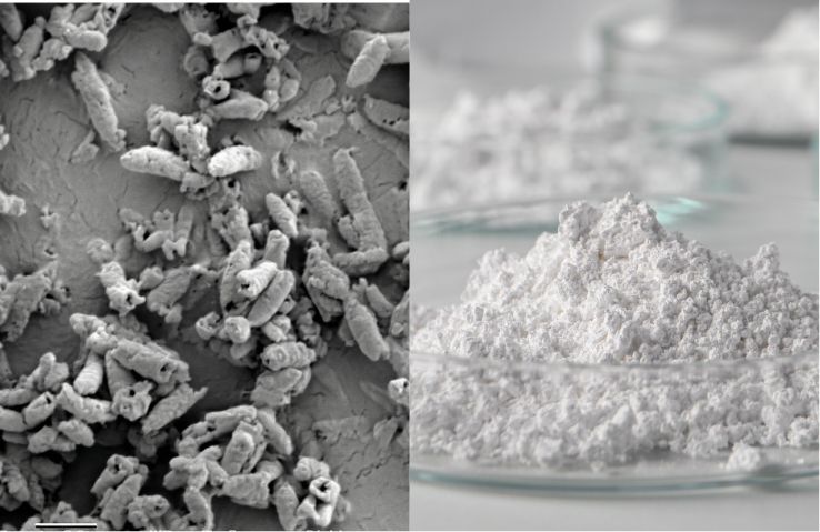 高付加価値原料の開発、販売